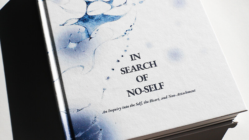 In Search of No-Self