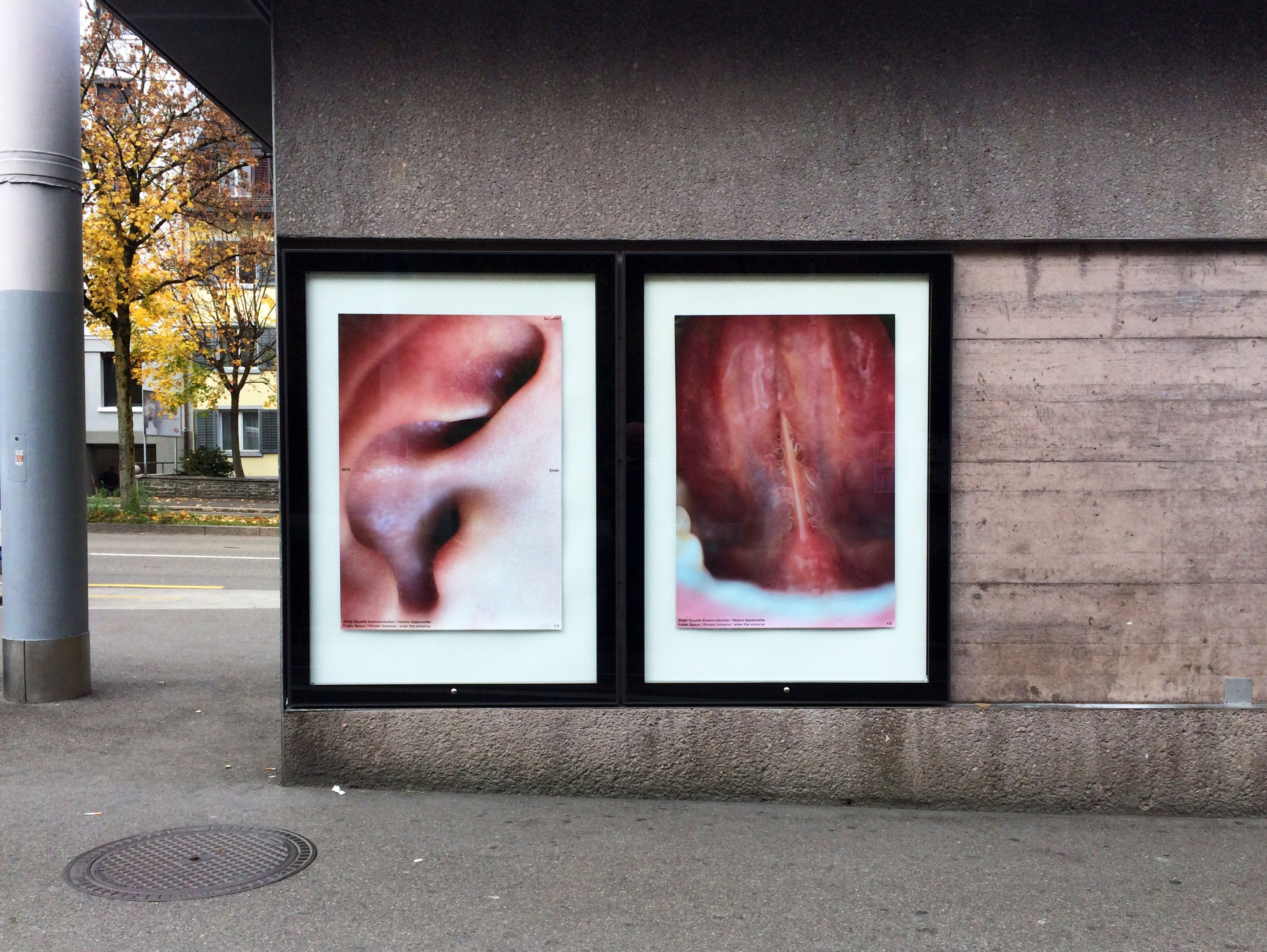 1. Platz: Helena Appenzeller (BA), «Nase, Ohr, Zunge»