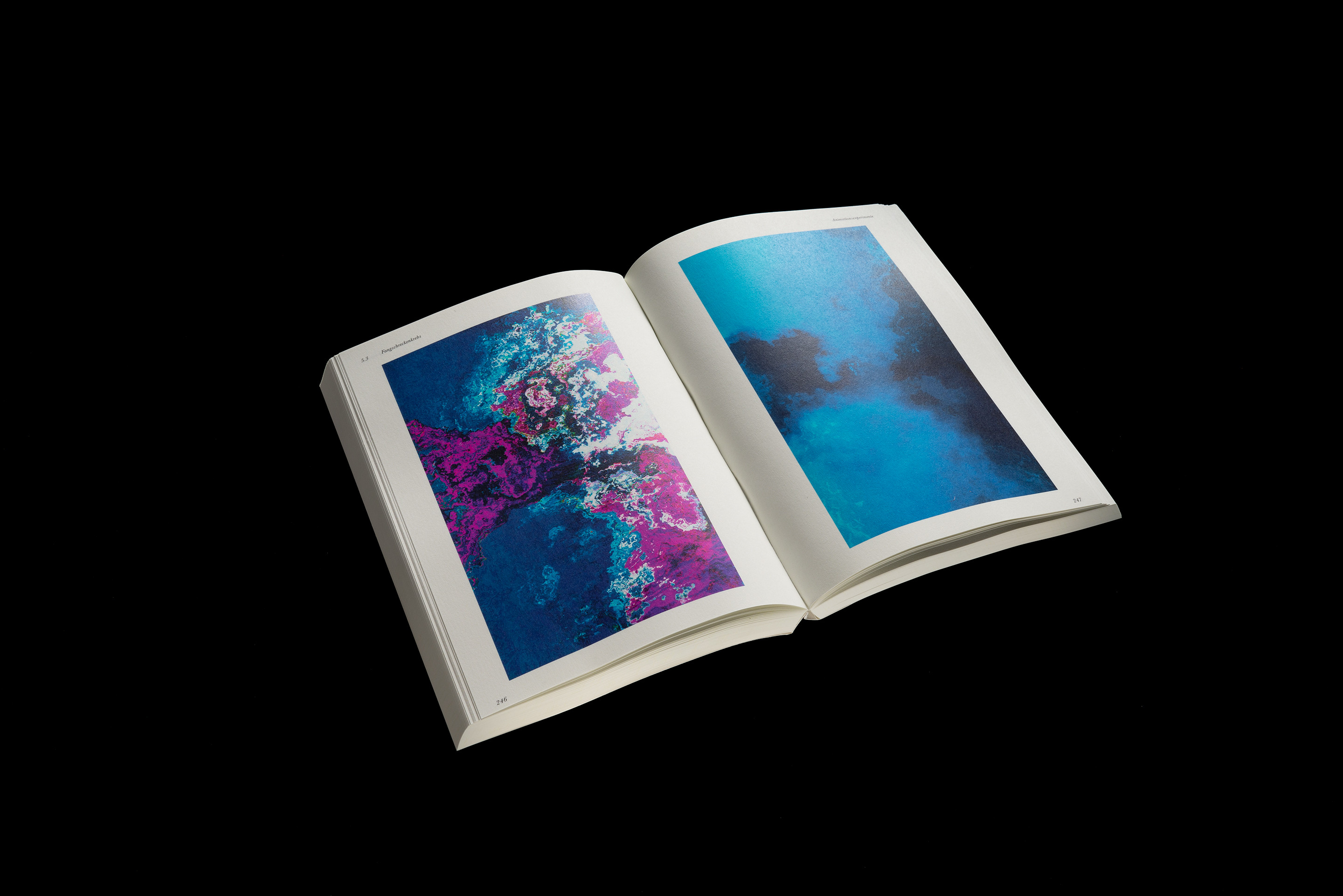 Stiere sehen kein Rot und Bienen sind blind