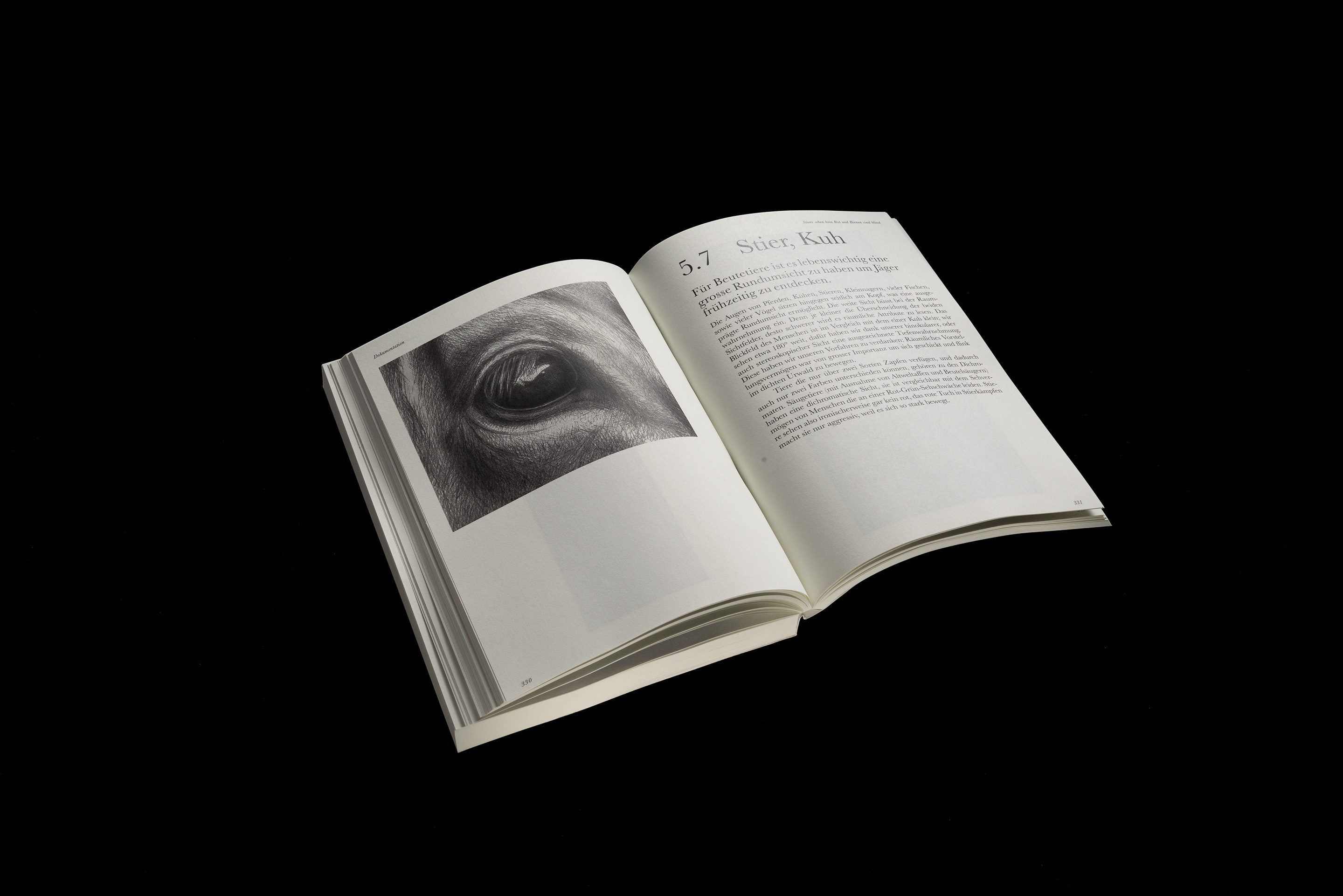 Stiere sehen kein Rot und Bienen sind blind