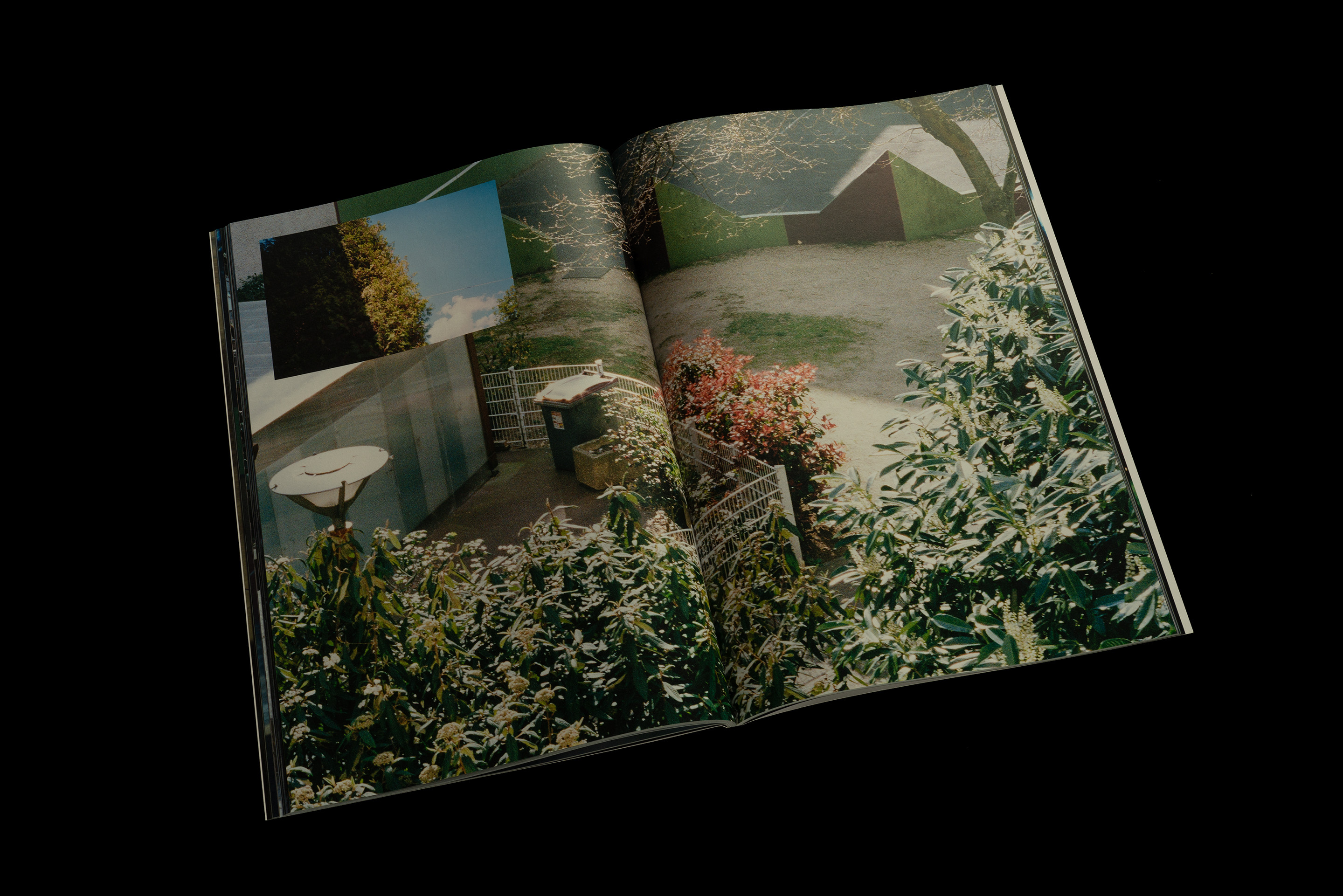 Announcement In Progress