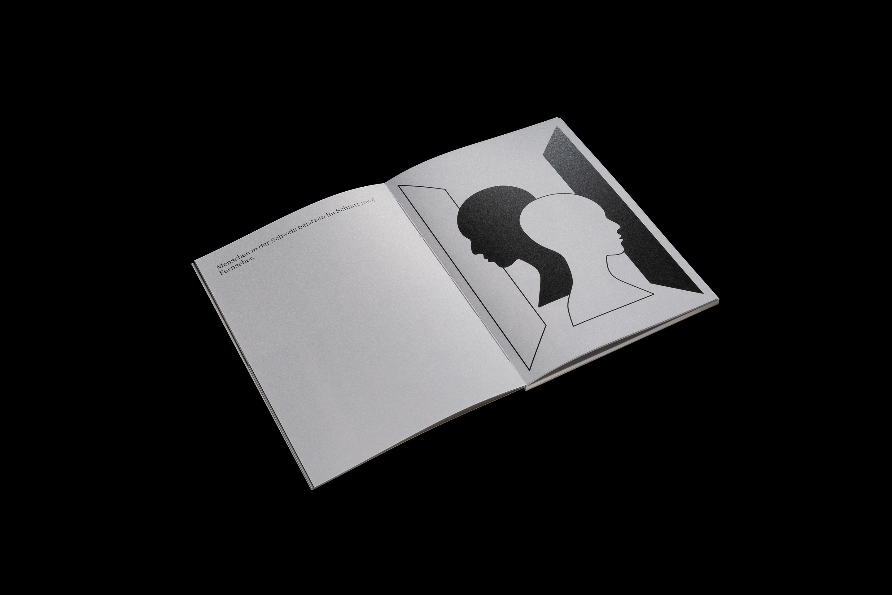 I have, therefore I am