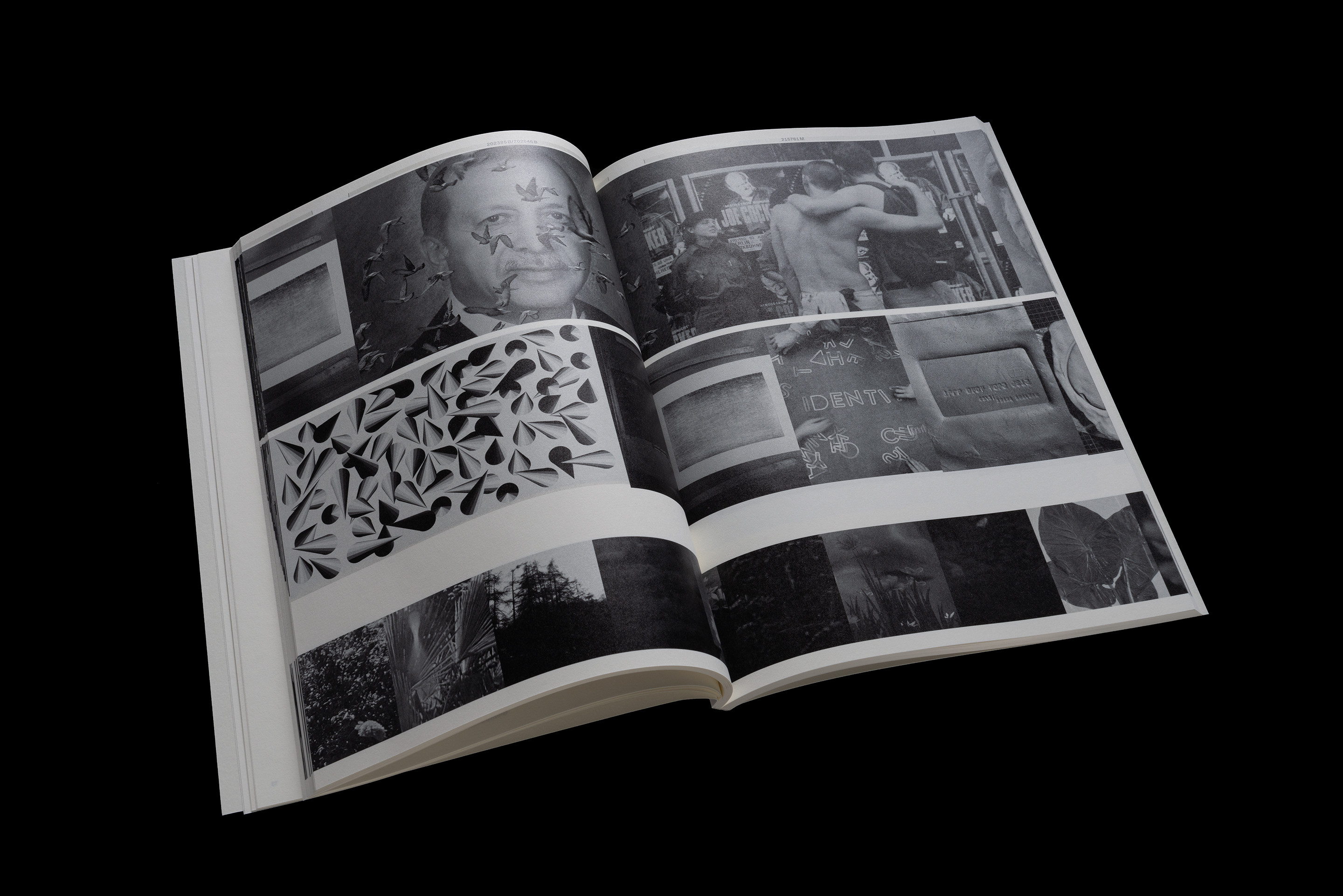 Diplompublikation BA/MA 2019