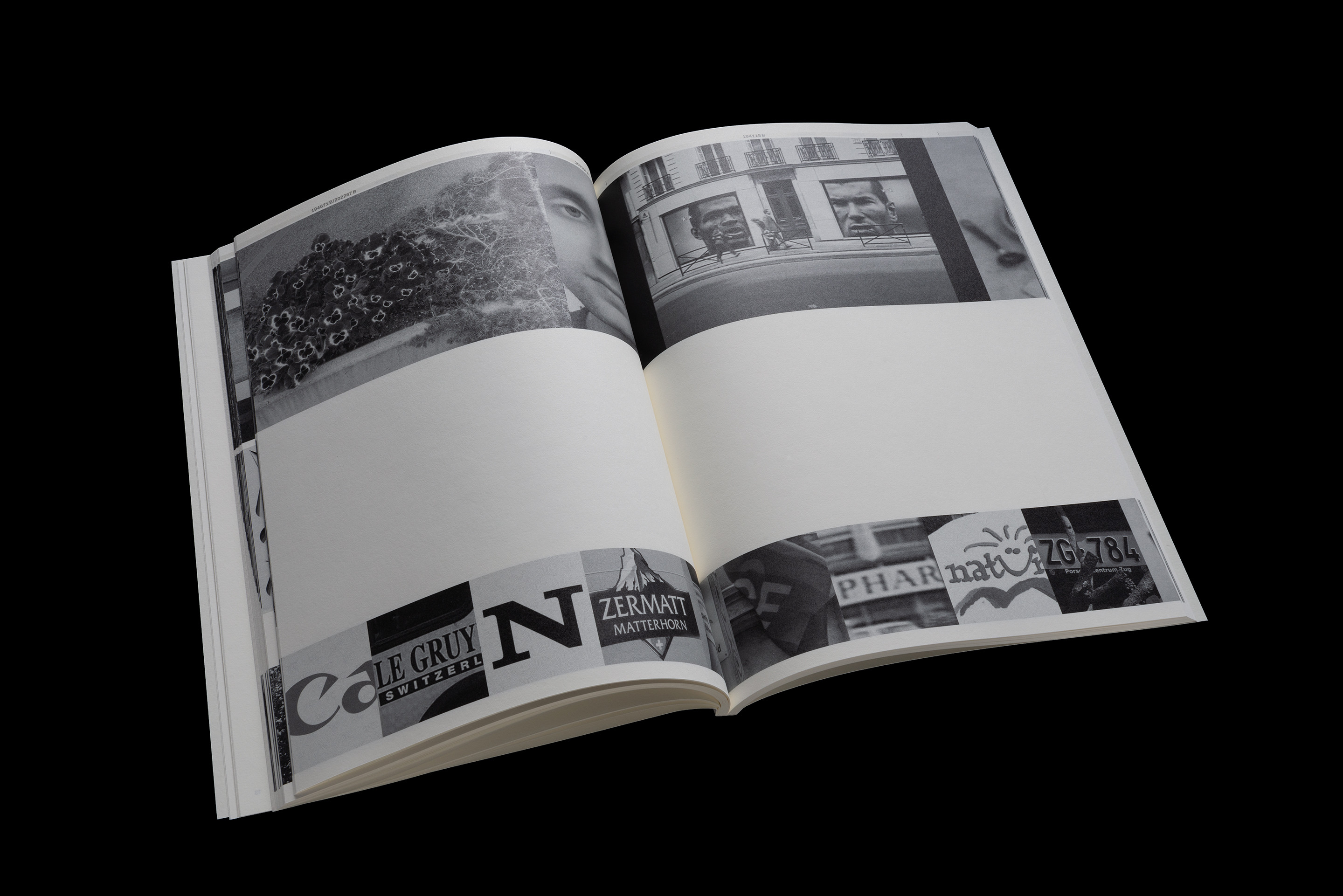 Diplompublikation BA/MA 2019