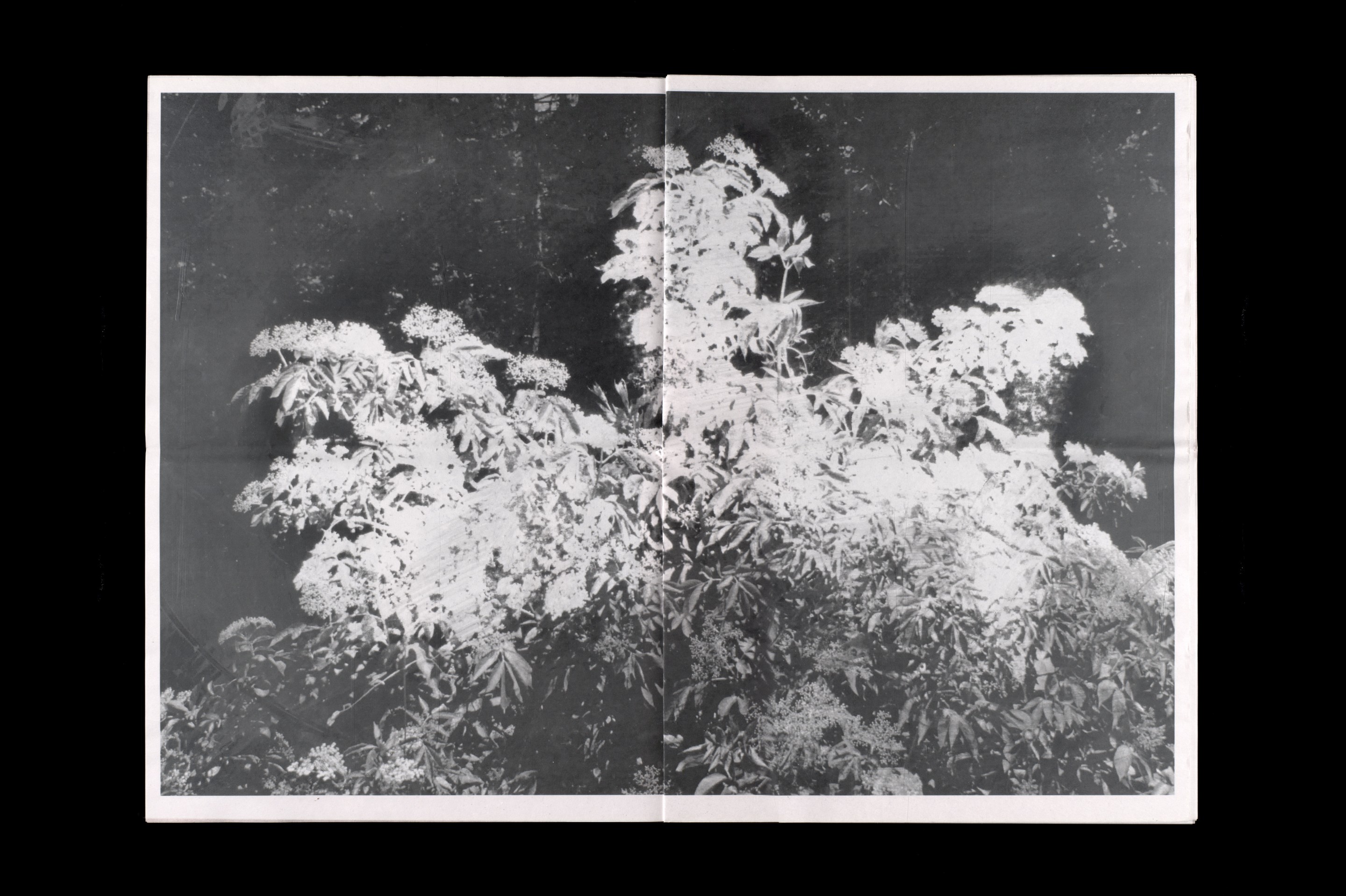 Experimentelles Gestalten: Dislocation