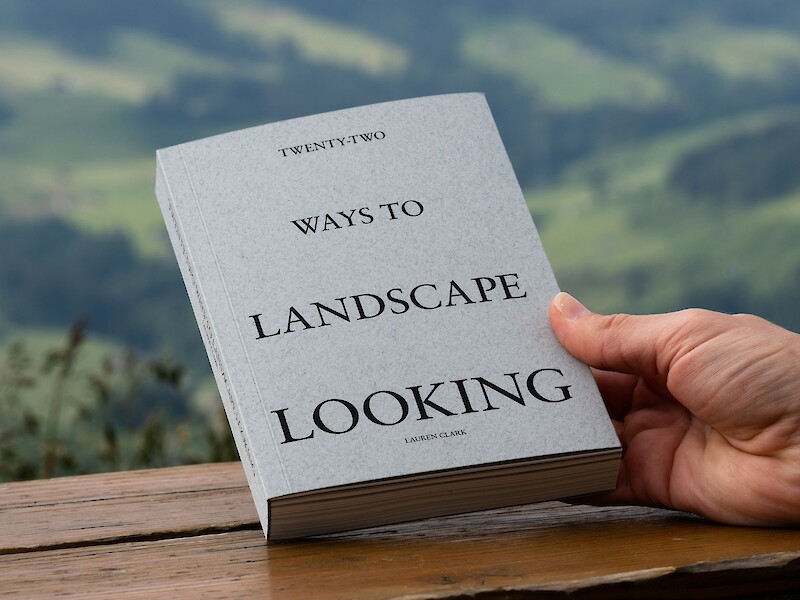 Landscape Looking