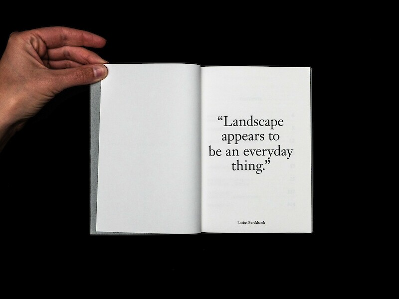 Landscape Looking