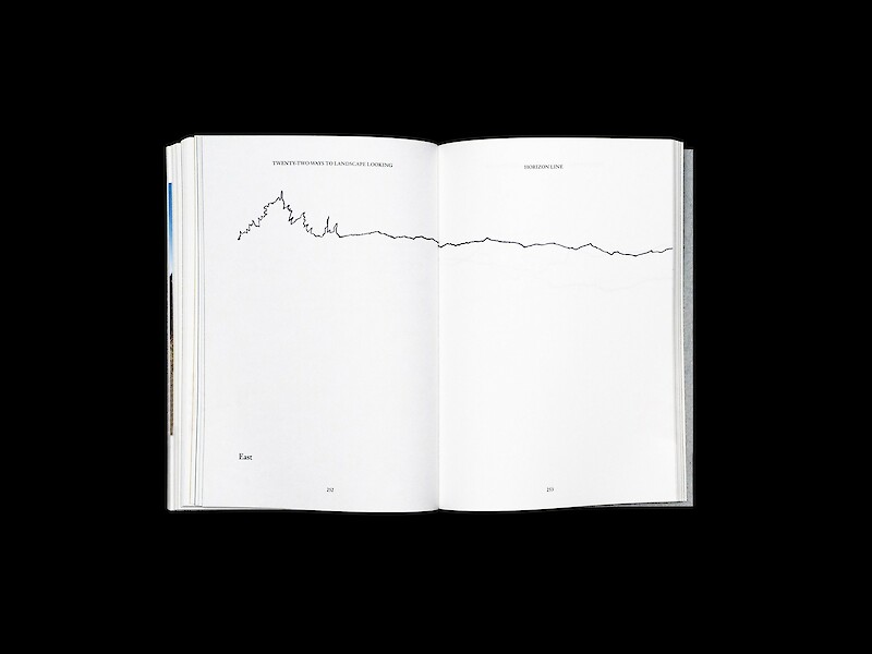 Landscape Looking