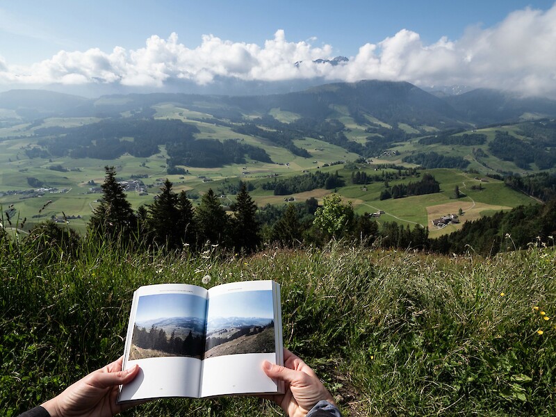 Landscape Looking