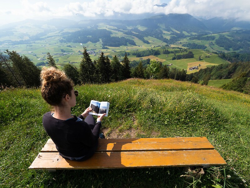 Landscape Looking