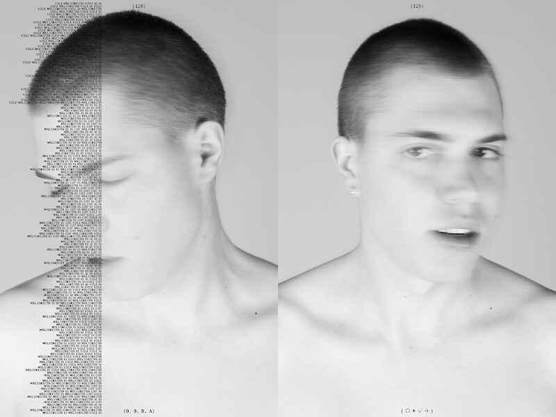 observe, orient, decide, act