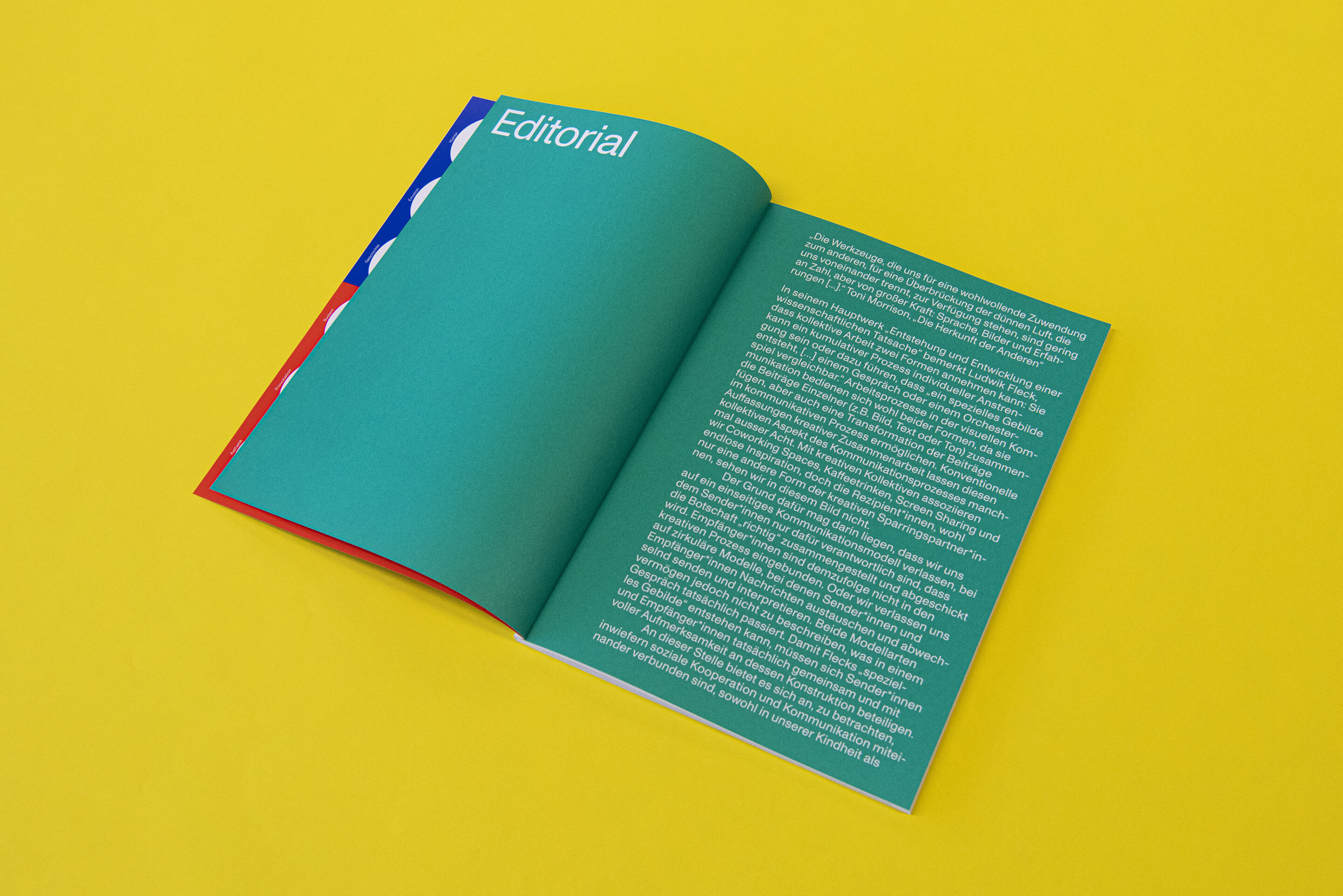 Diplompublikation BA/MA 2020