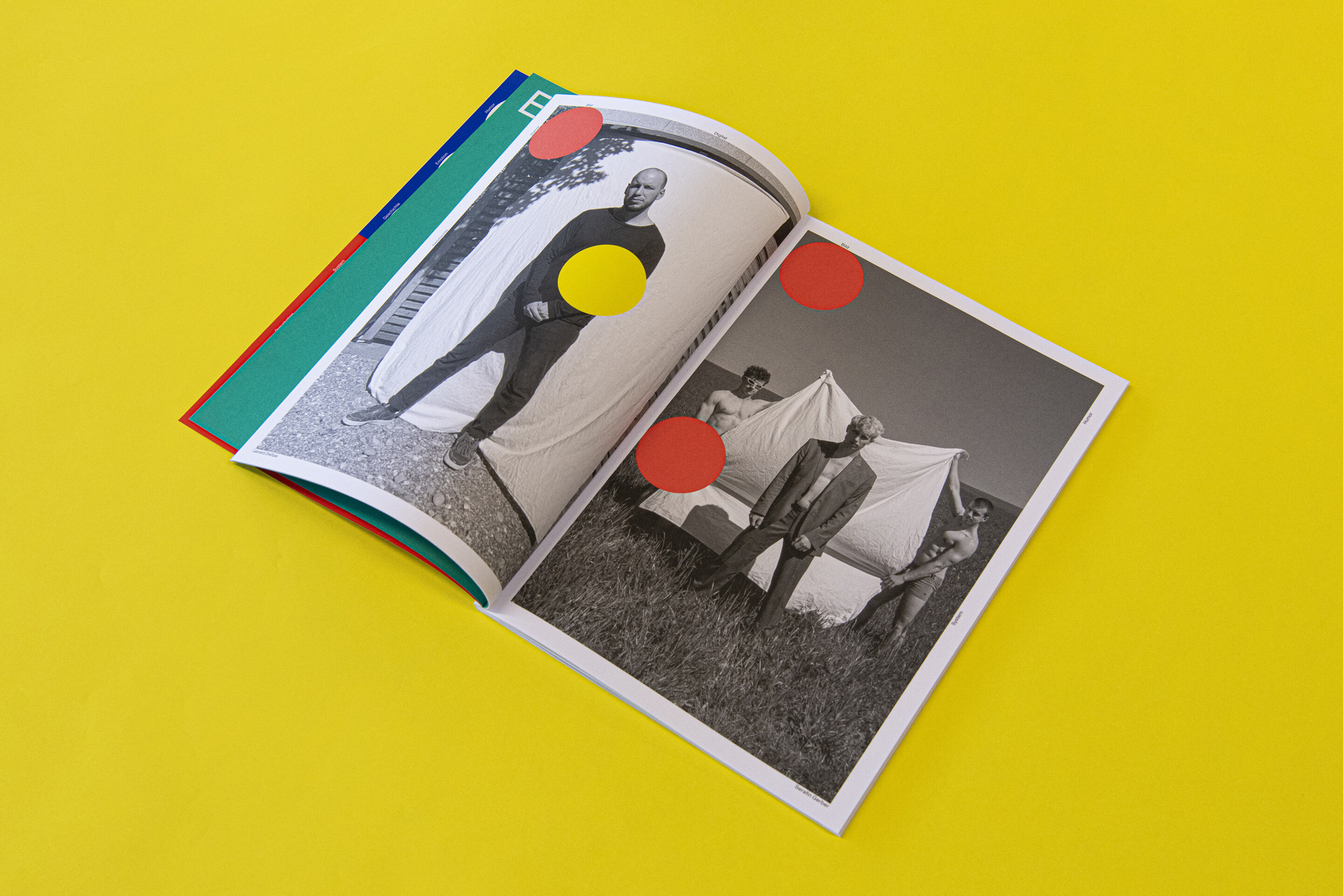 Diplompublikation BA/MA 2020