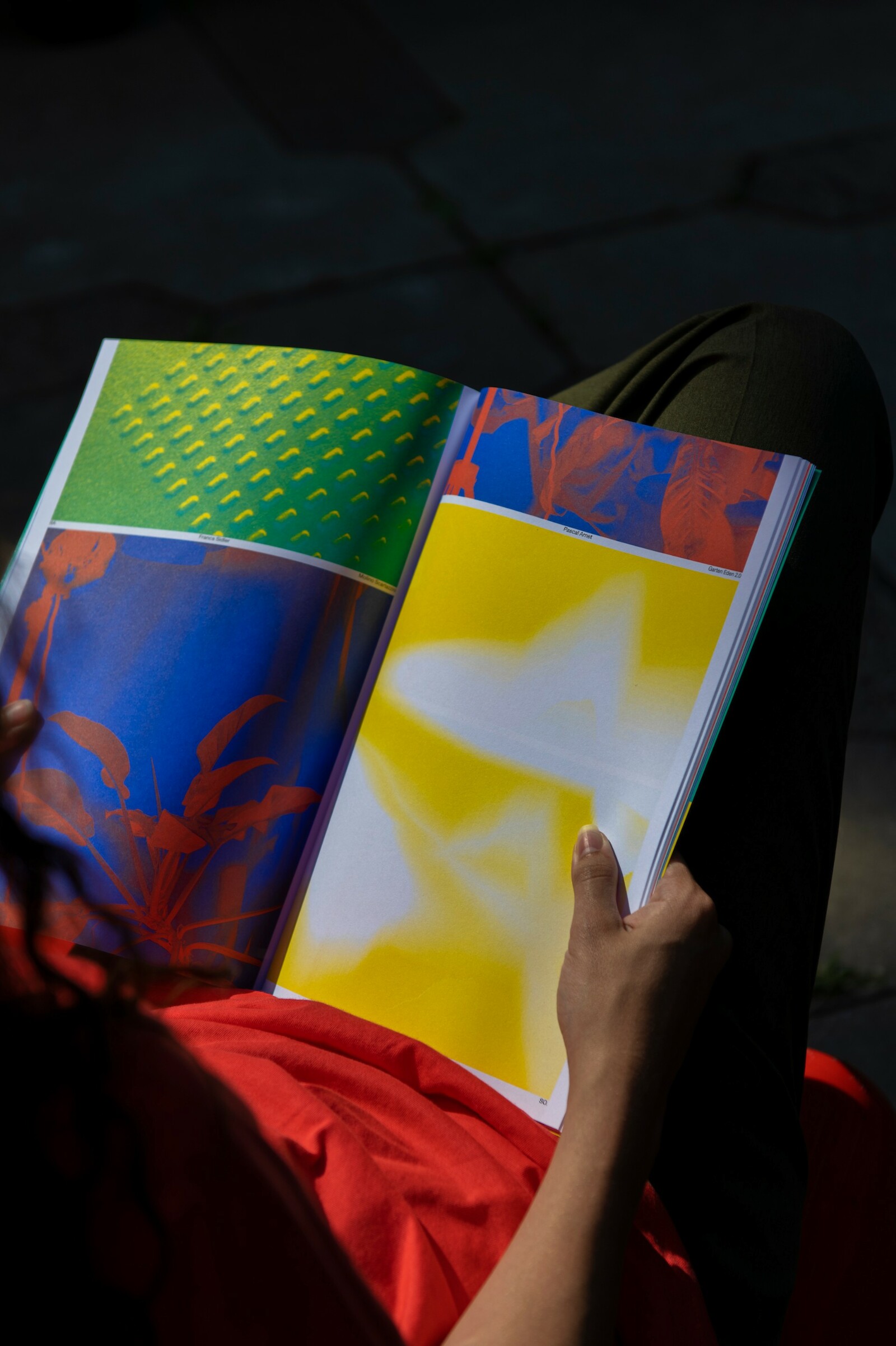 Diplompublikation BA/MA 2020