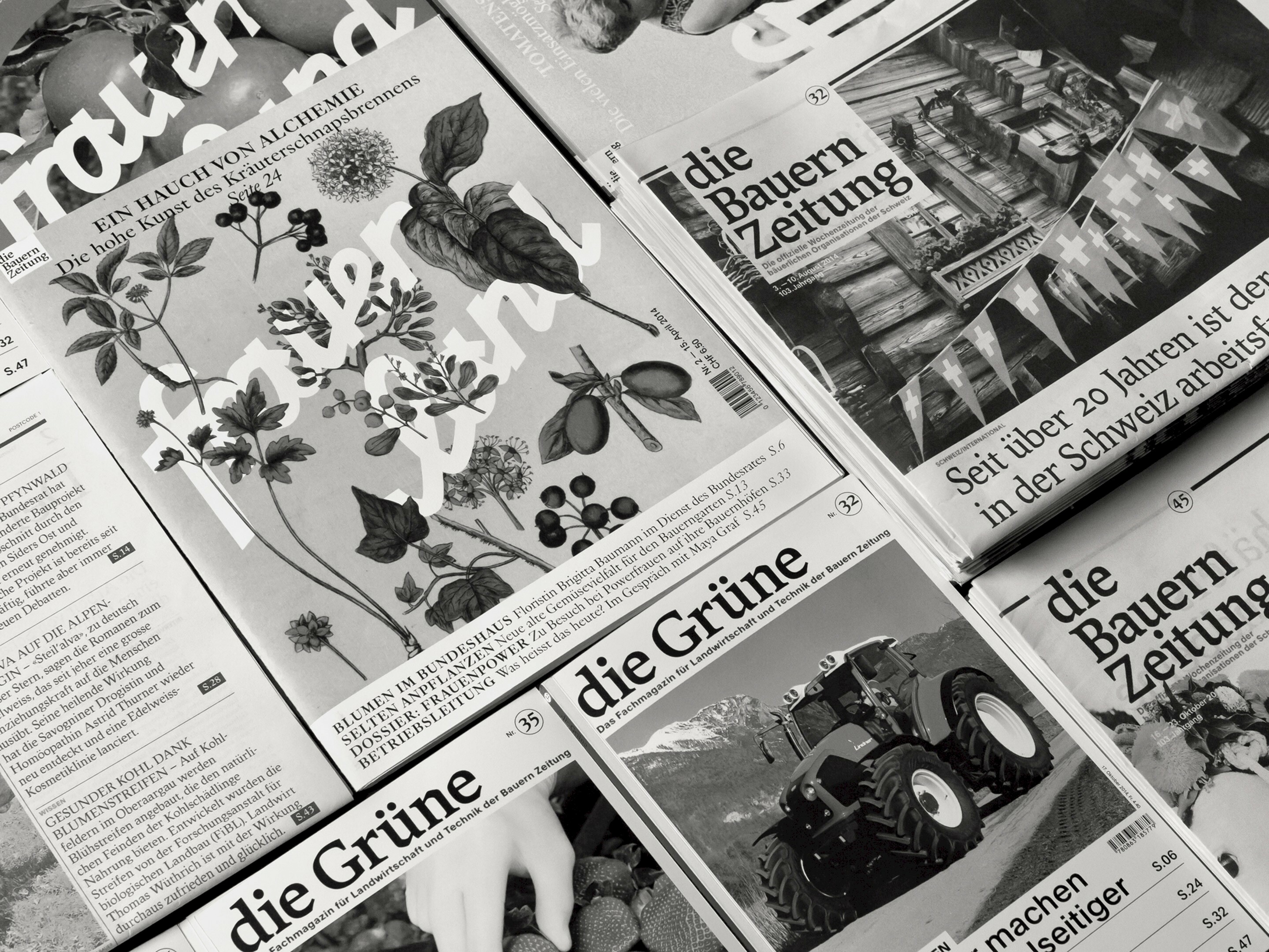 Arbeiten von Lukas Ackermann, Laia Ortiz Sansano, Jalscha Römer, Romy Strasser