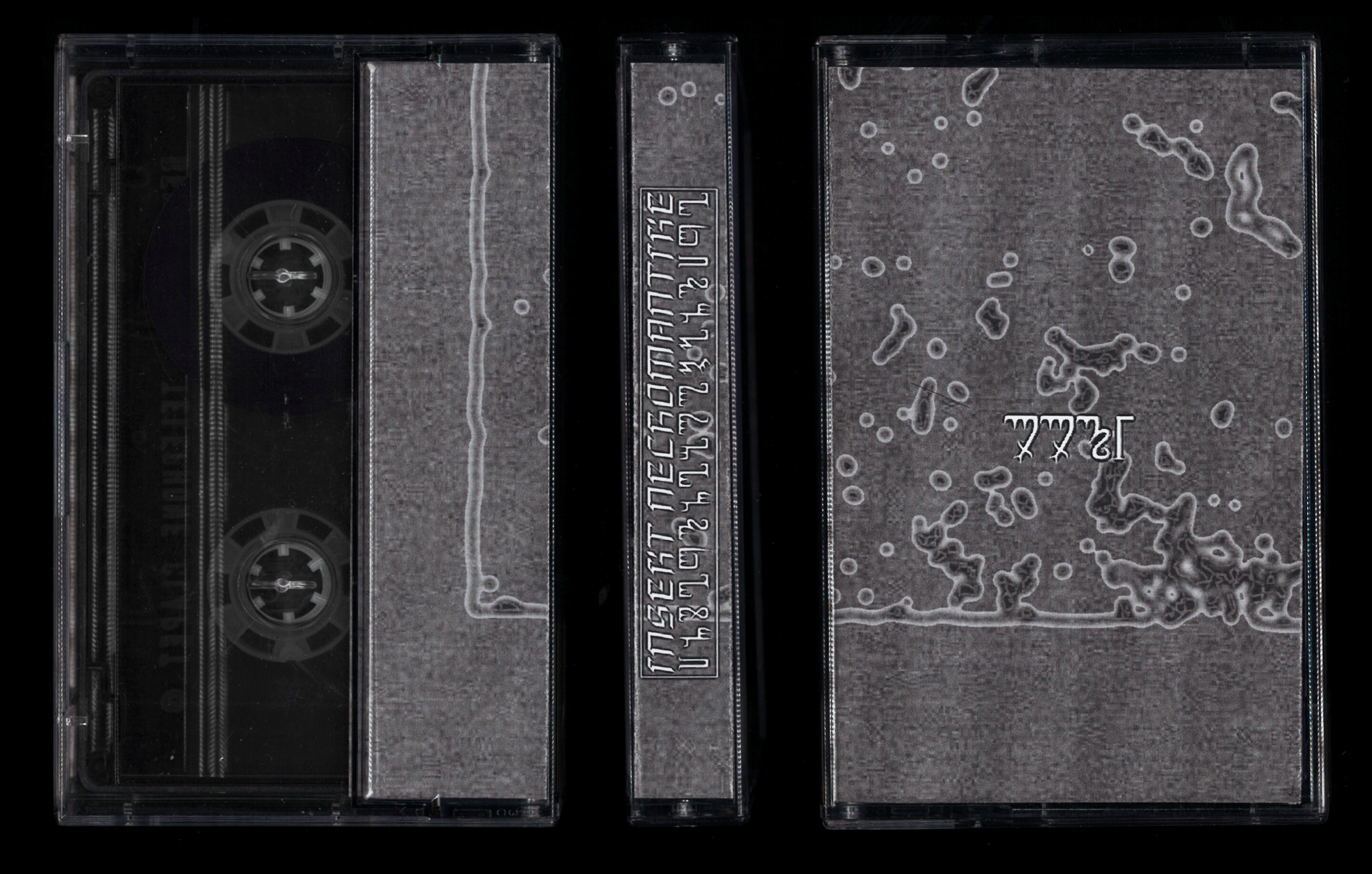 Artist: Insekt Necromantike Track: ppt1 Design: Katharina Shafiei-Nasab, Alix Stria