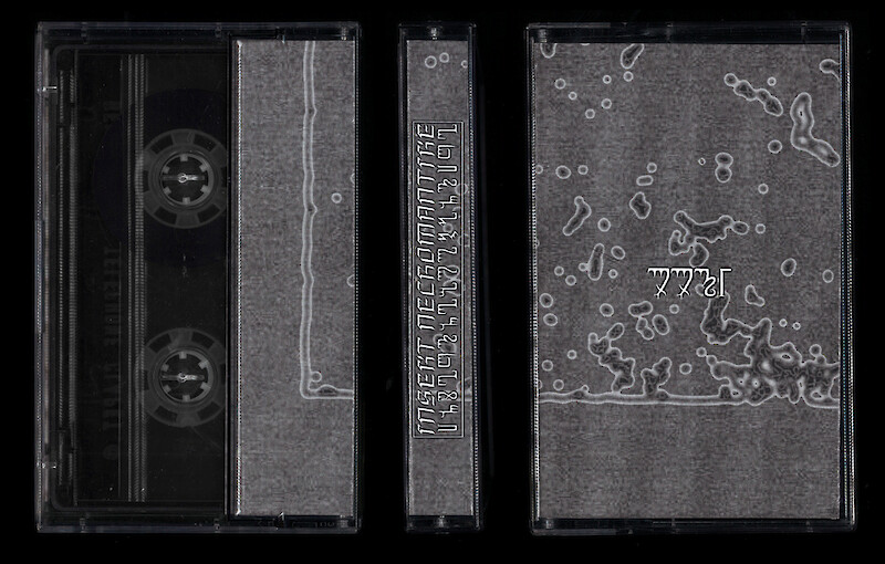 Artist: Insekt Necromantike Track: ppt1 Design: Katharina Shafiei-Nasab, Alix Stria