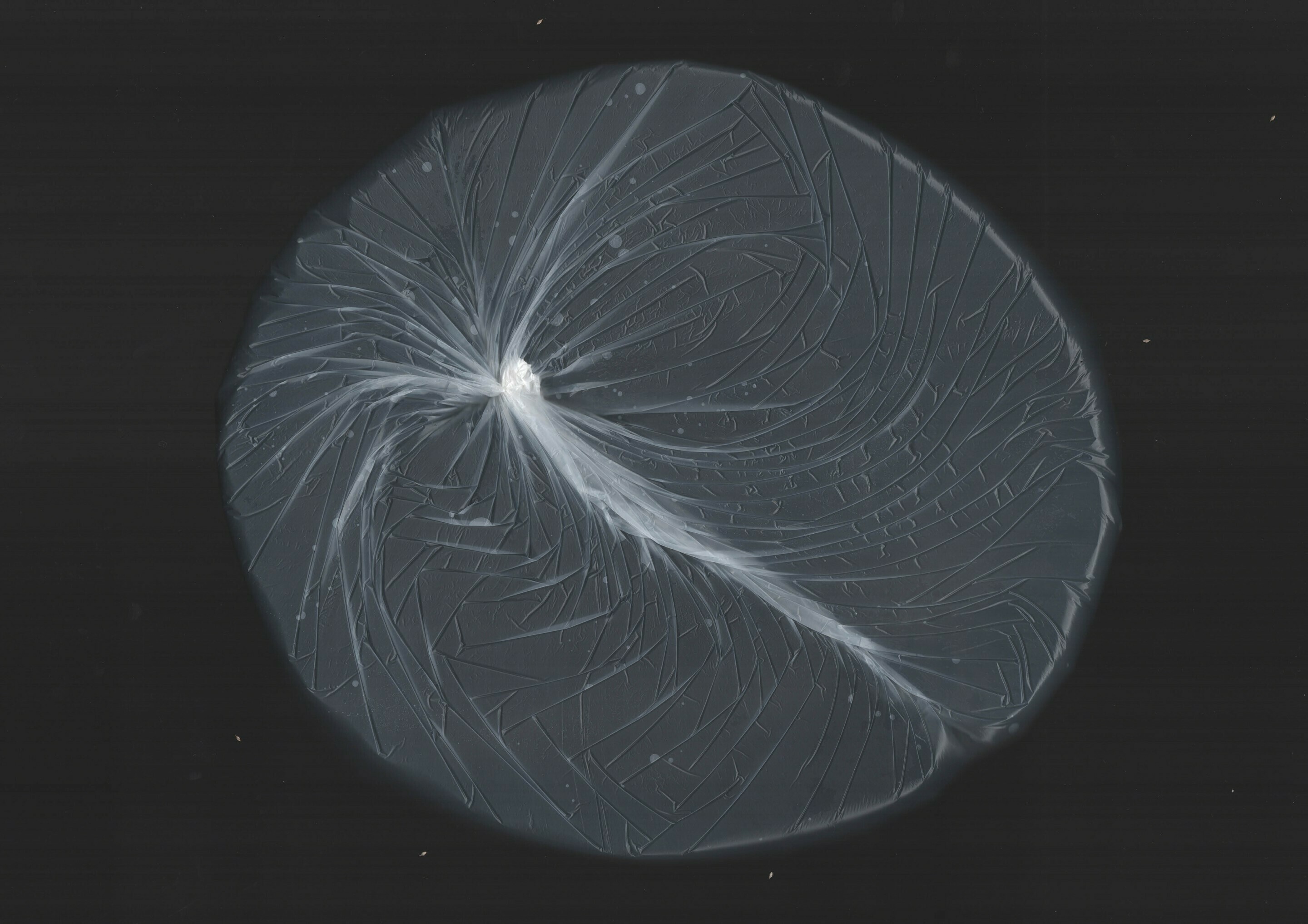 Information, navigation and orientation in times of change