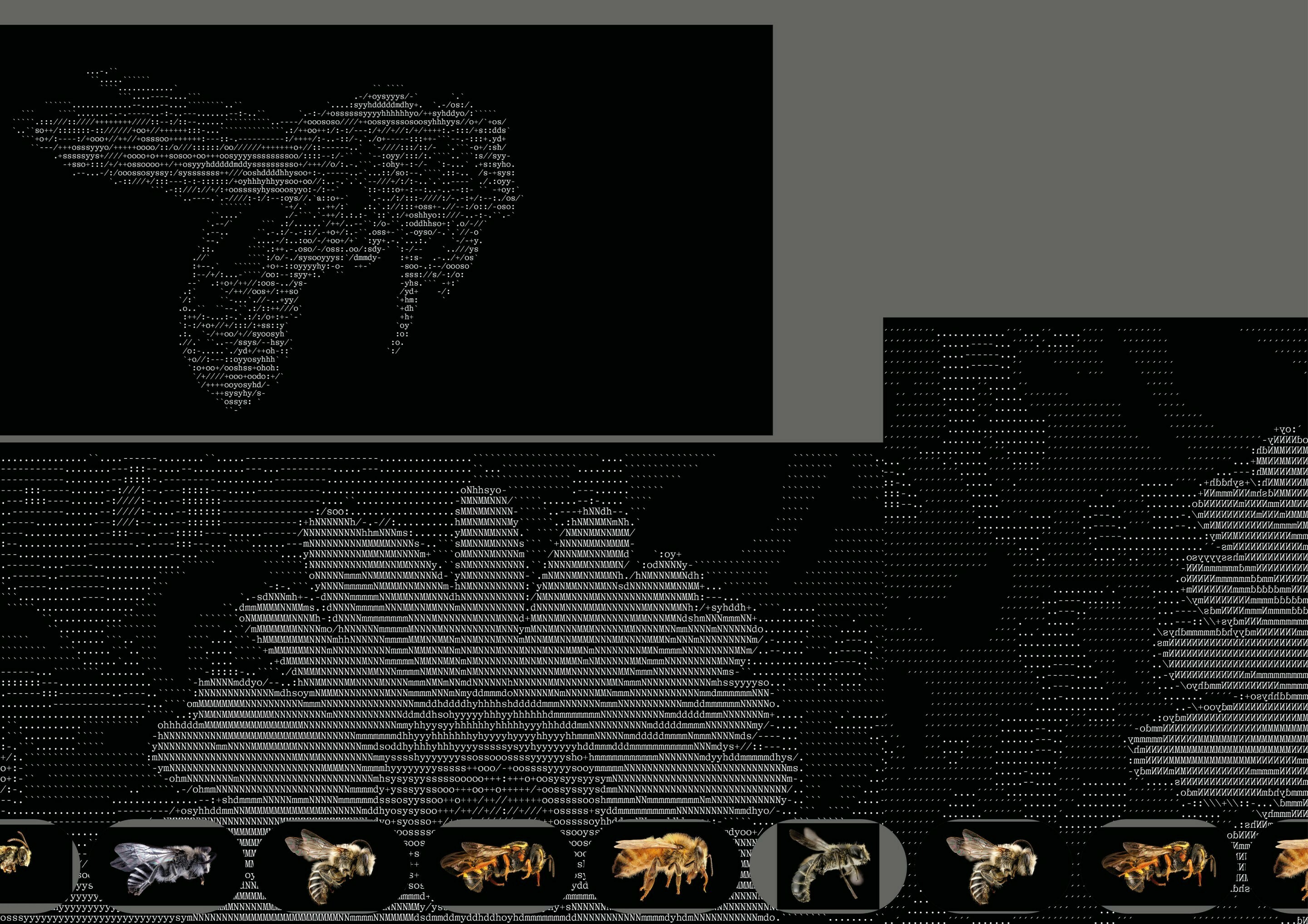 Information, navigation and orientation in times of change