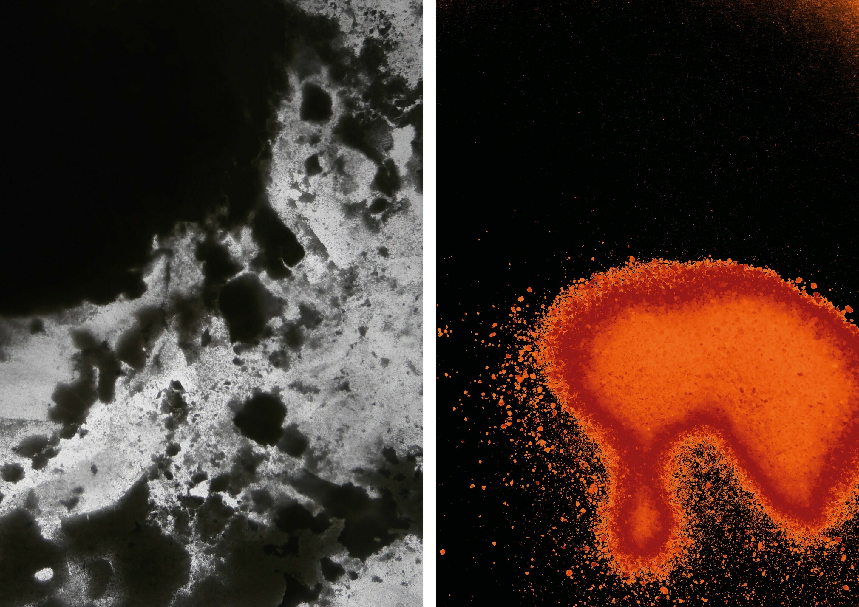 Information, navigation and orientation in times of change