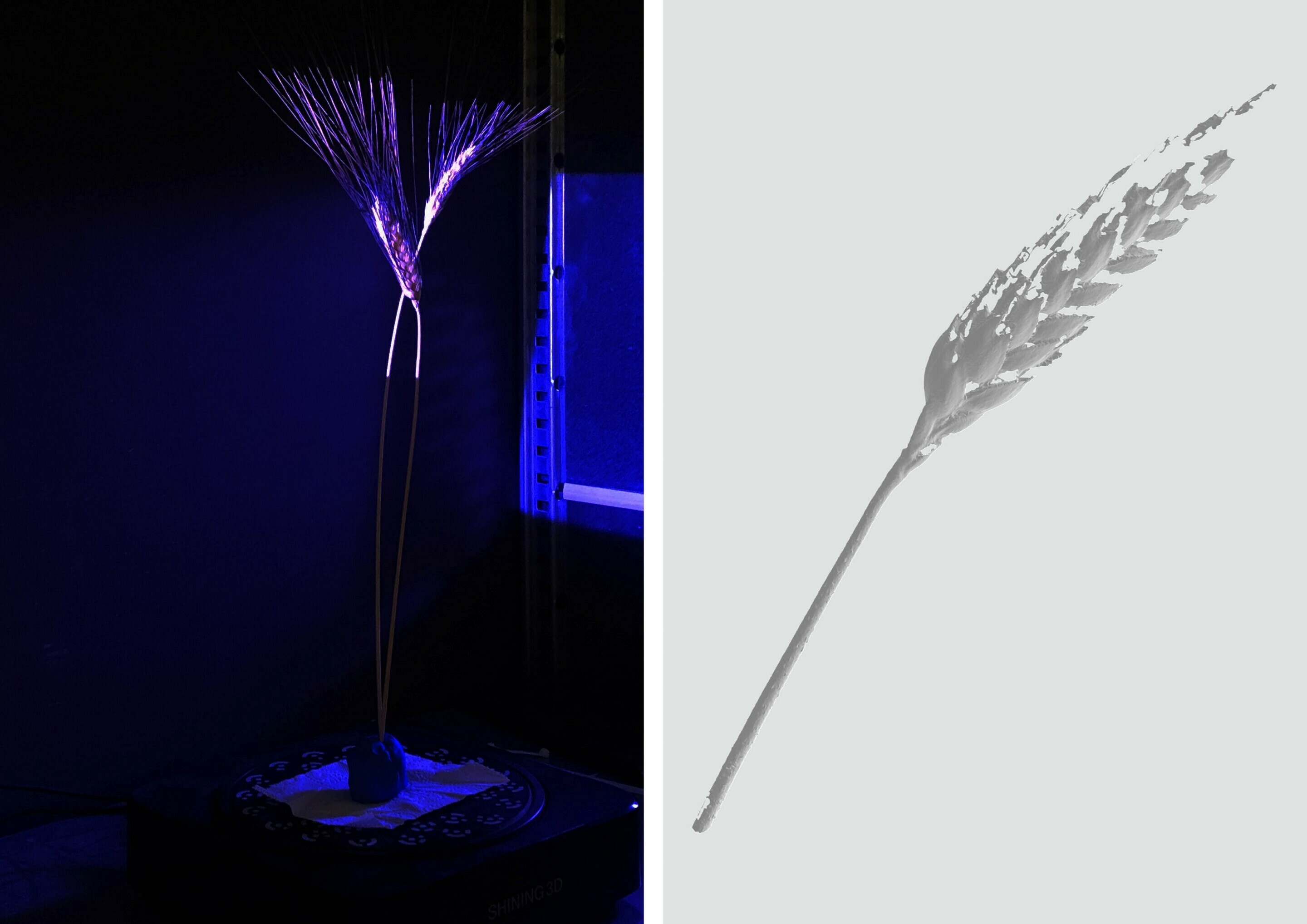 Information, navigation and orientation in times of change