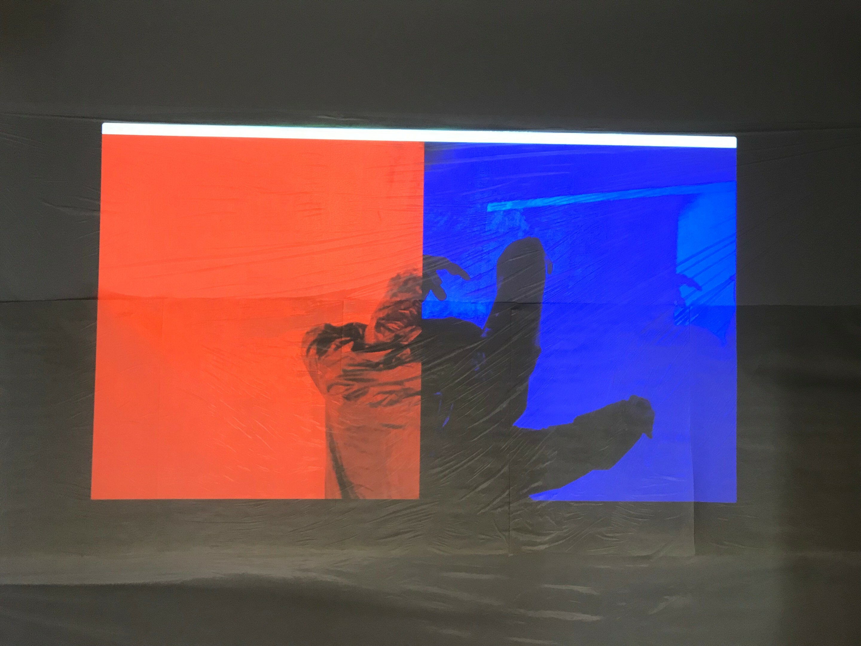 Misreading the Museum: Ein Workshop mit Noam Toran