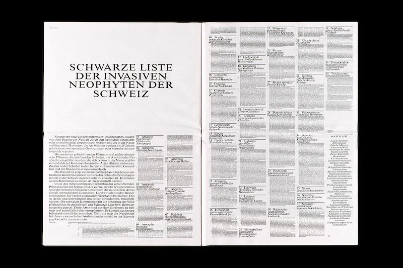 Experimentelles Gestalten: Dislocation