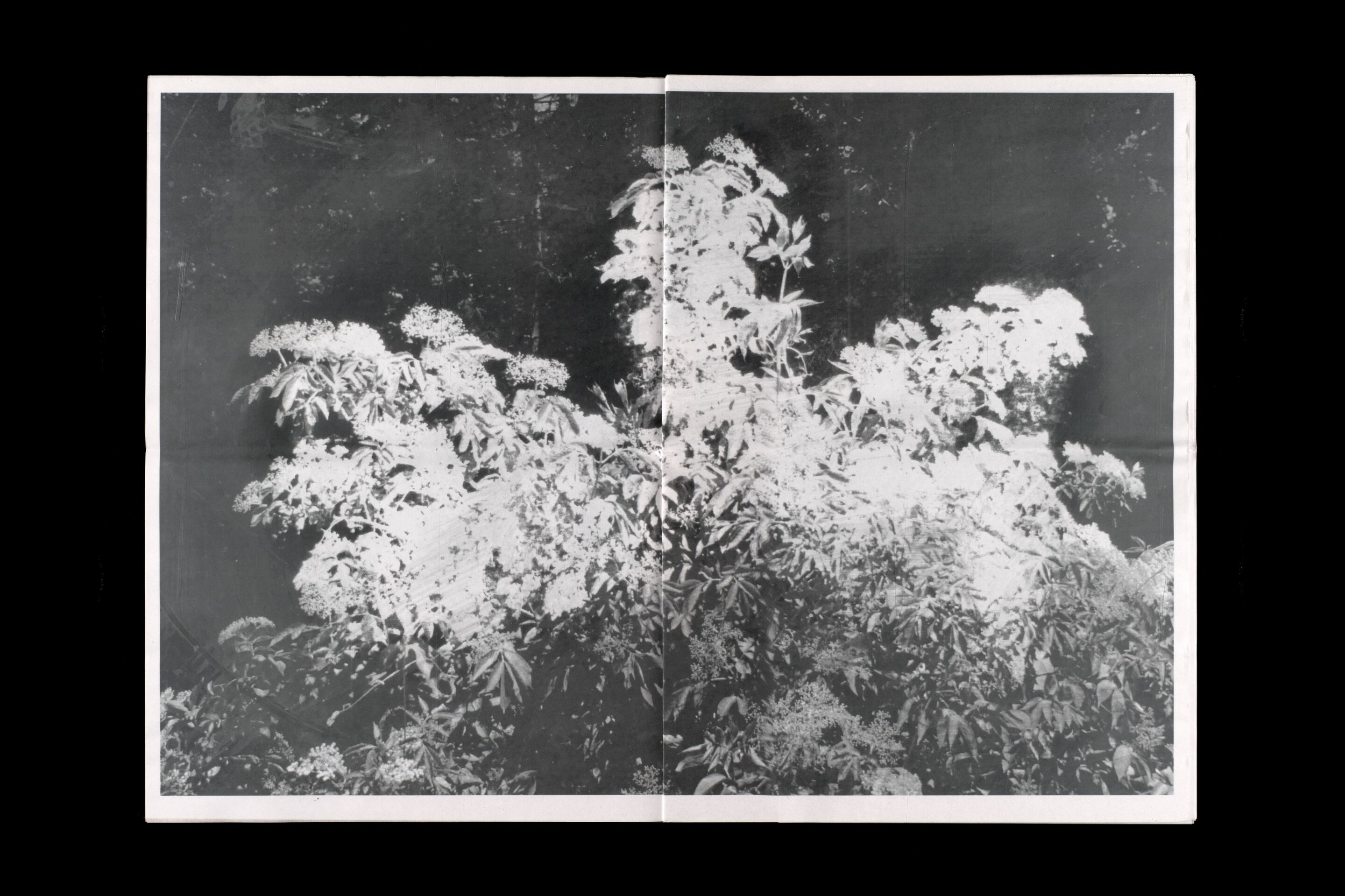 Experimentelles Gestalten: Dislocation