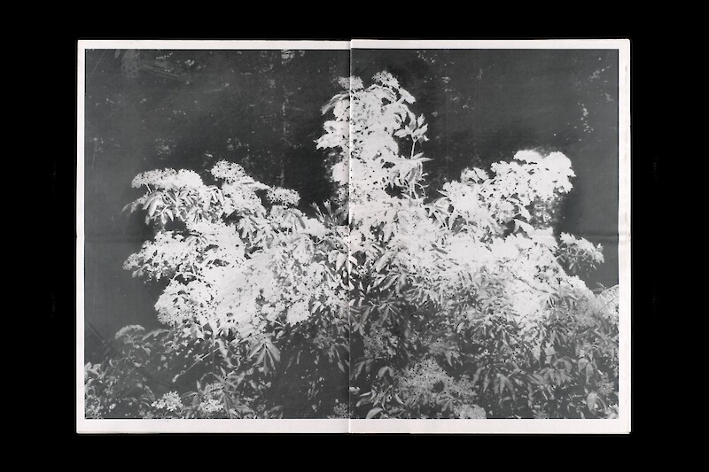 Experimentelles Gestalten: Dislocation