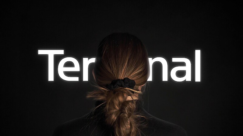 Terminal