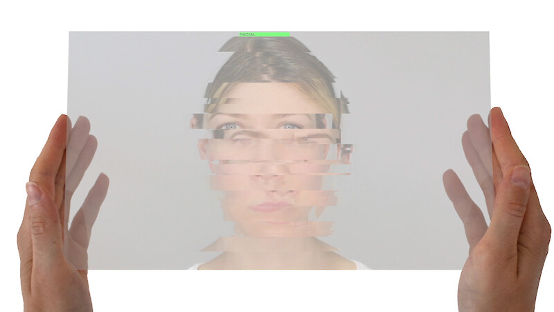 Facial Expression Database