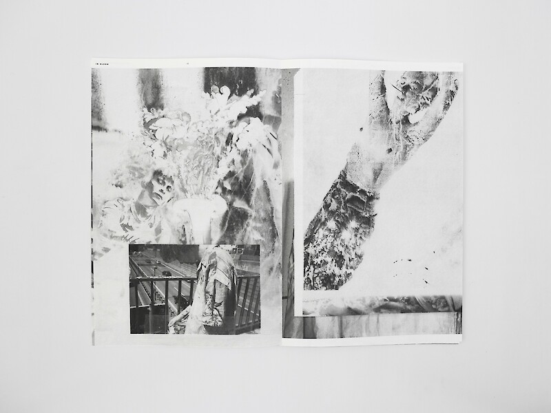 Julia Seemann – Reborn