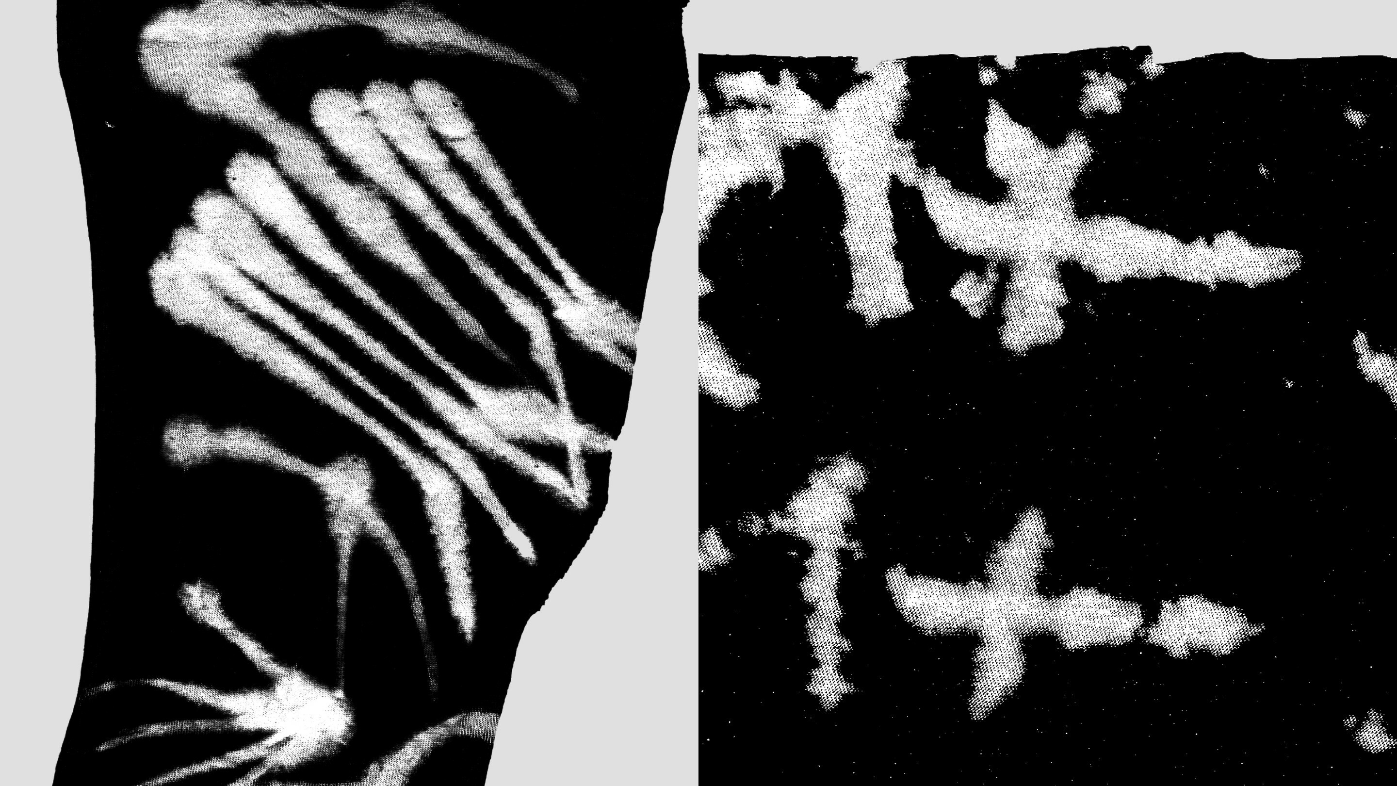 TAKE A SEAT! – Brand Identity Concepts inspired by Chairs