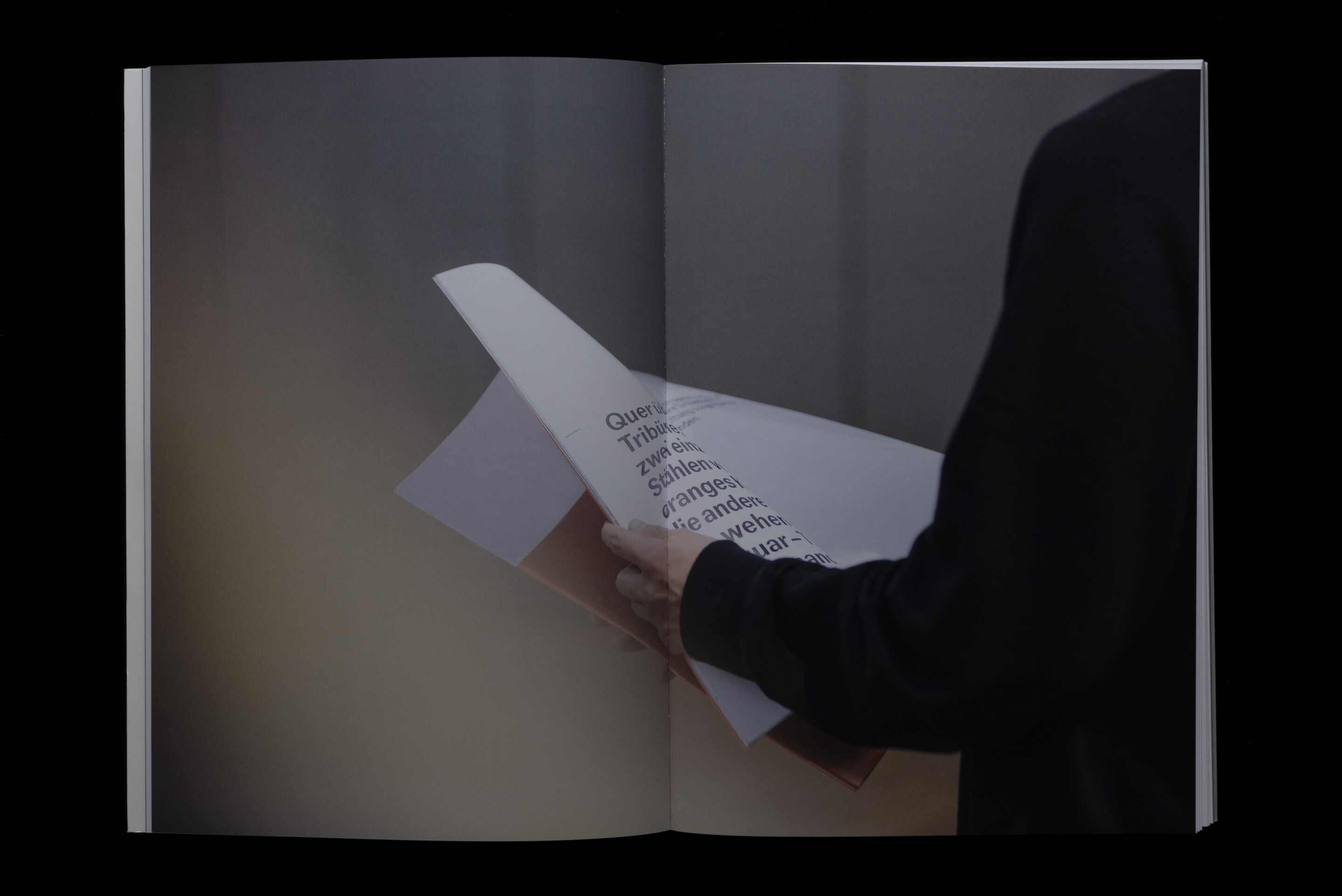 Diplompublikation BA/MA 2018