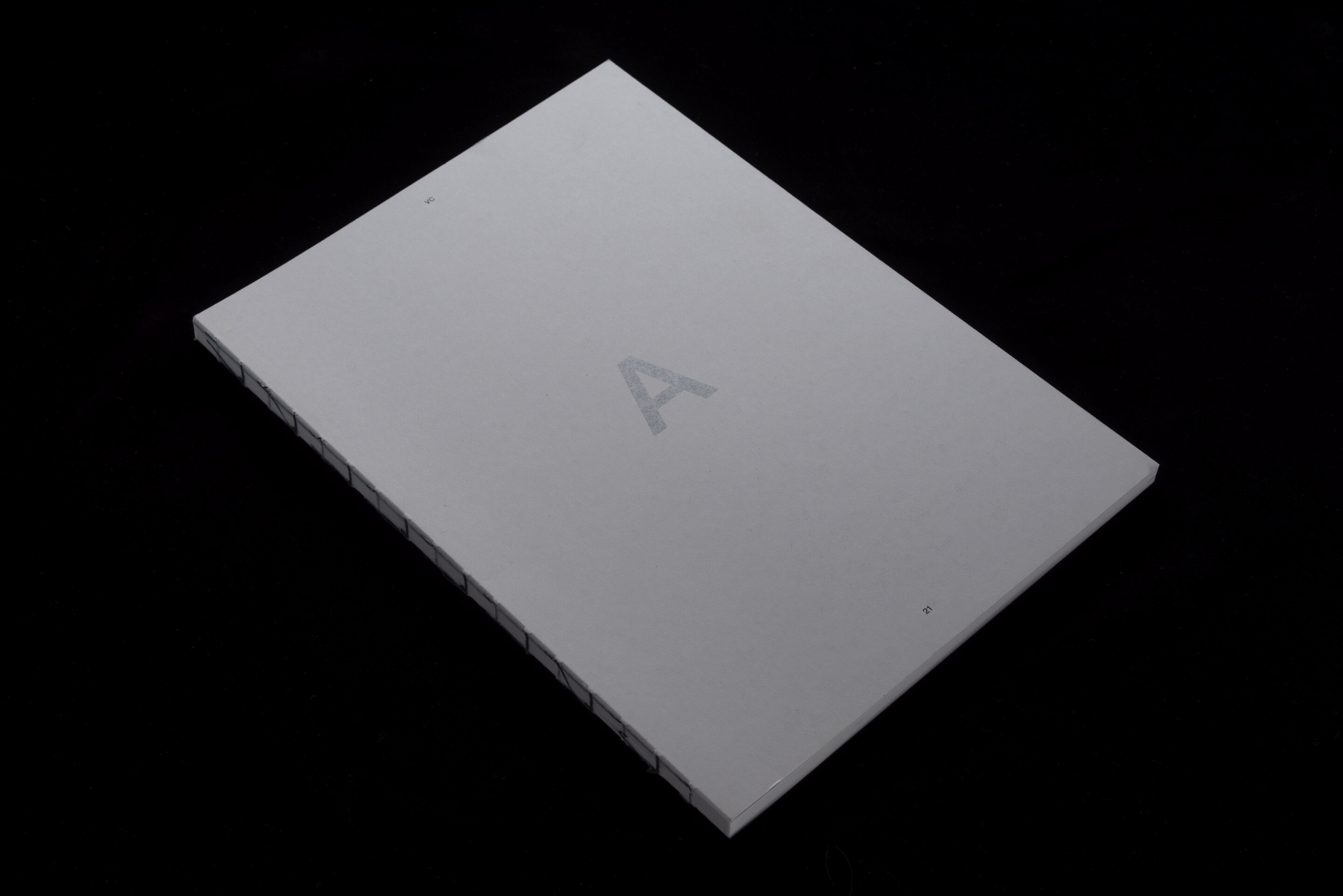 Diplompublikation BA/MA 2021