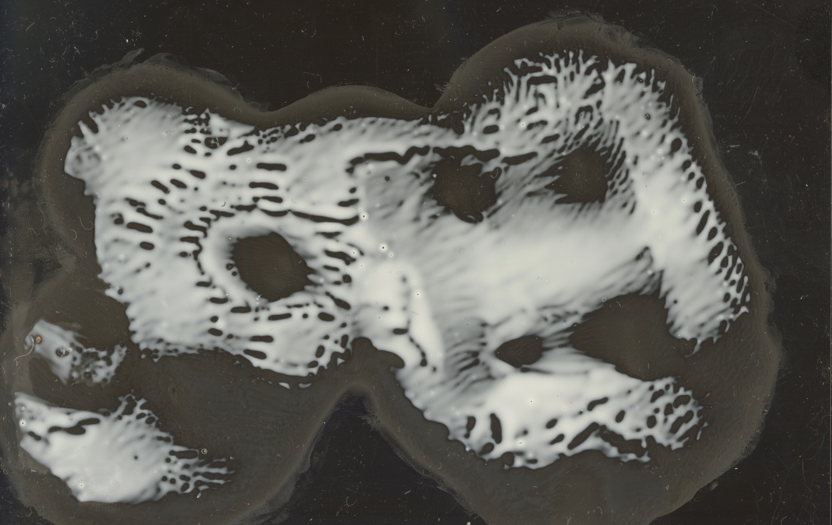 Enator – Daryl Schiltknecht, Martina Holenstein, Mathias Manner, Janiva Wittmer