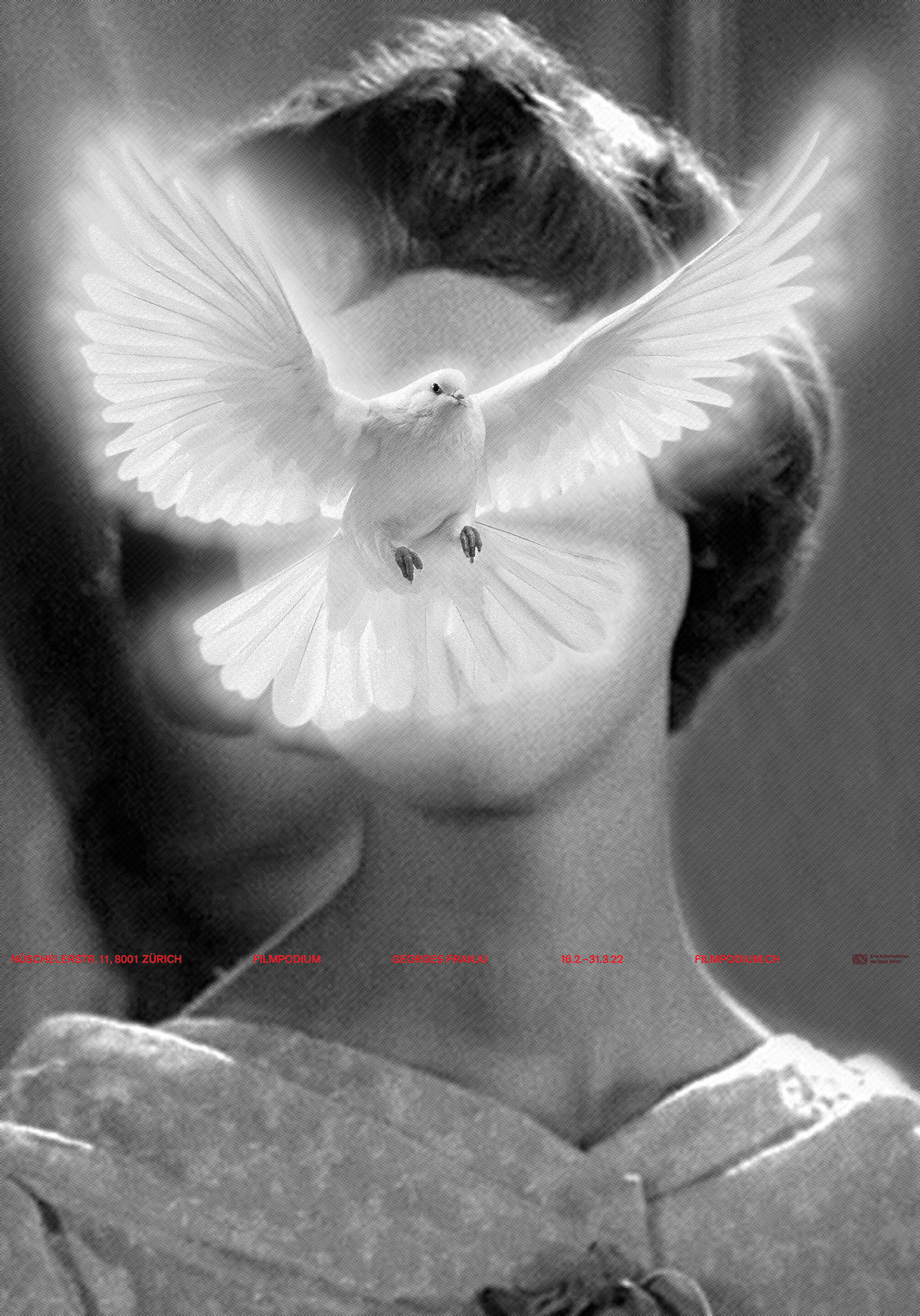 Tonja Wüthrich & Vera Oberholzer