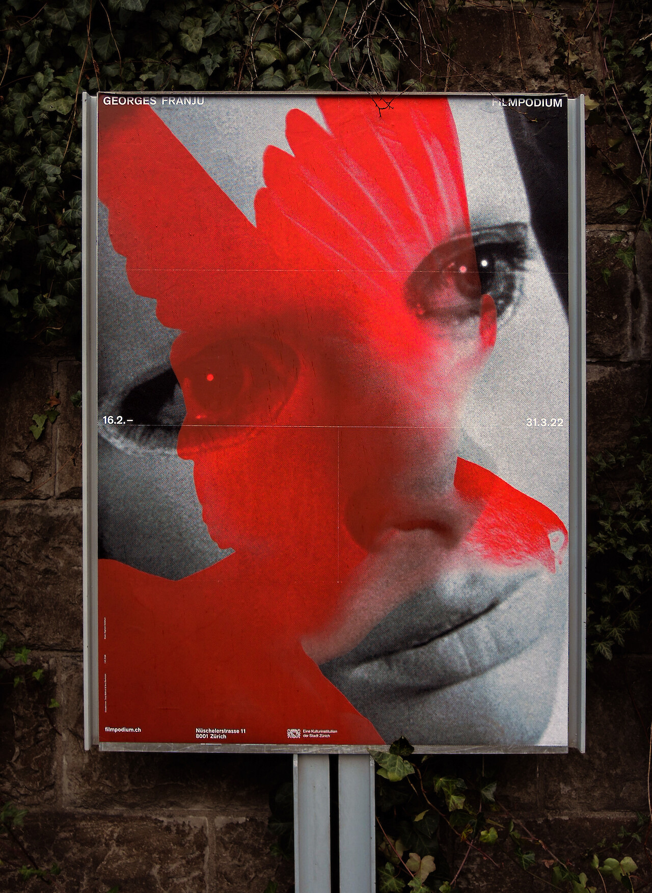 Visual Communication