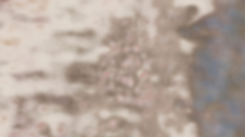 Memento vitae