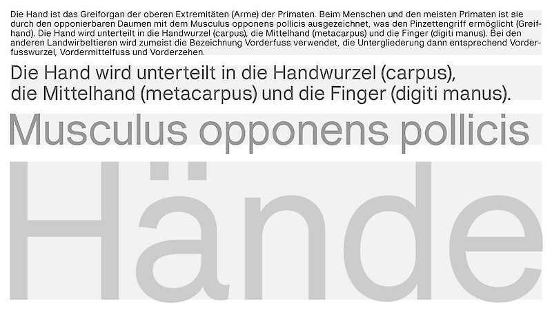 handle with care