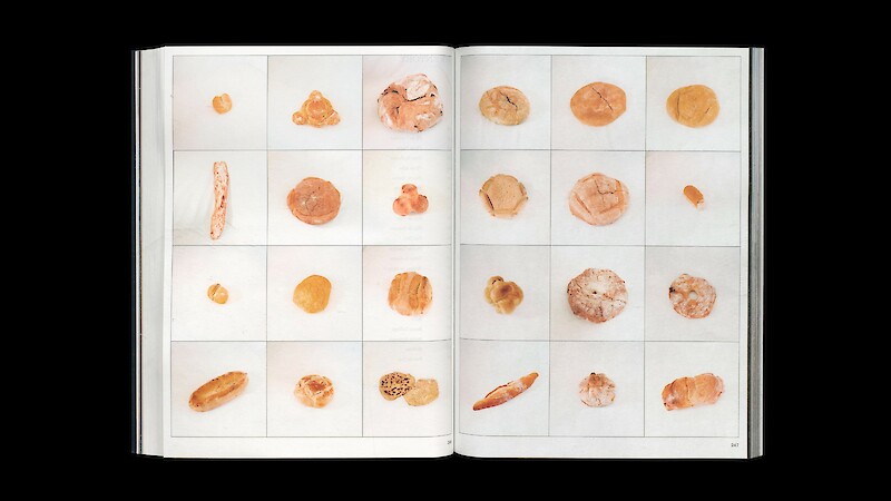 Speaking Bread – Beziehungen jenseits der Materialität