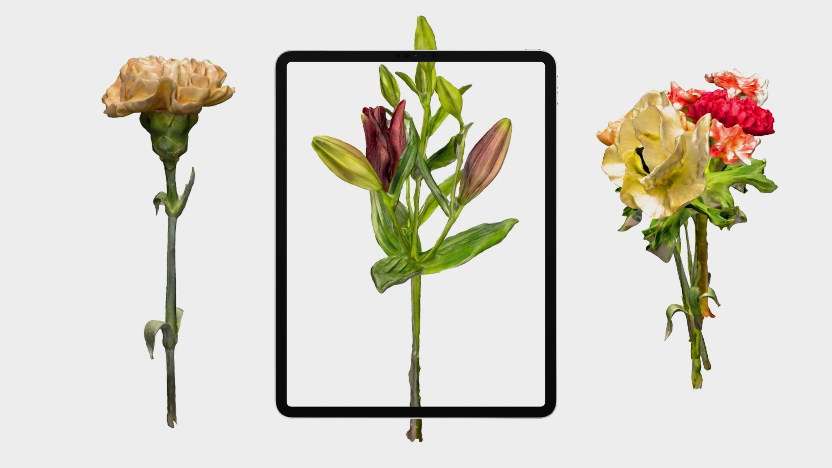 Floral Lokal — Artemisia Astolfi, Max Diemair, Marina Müller, Uma Grotrian-Steinweg