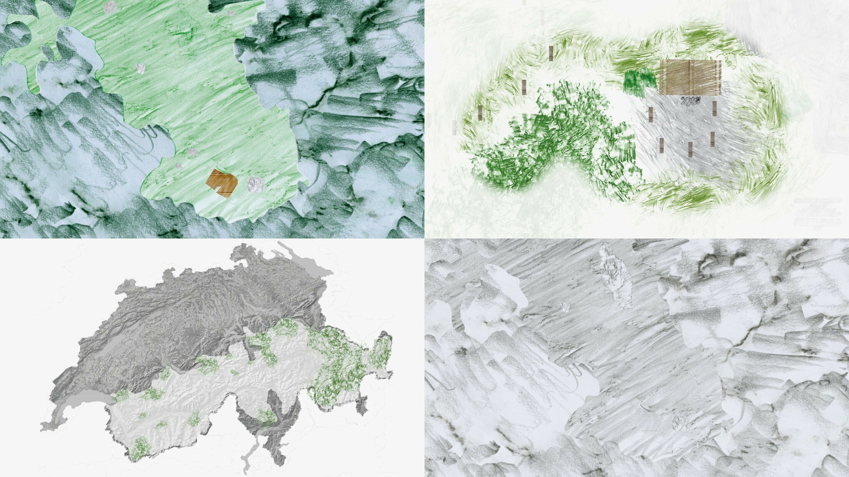 Echo – Silvan Koller, Maria Peskina, Tim Oechslin