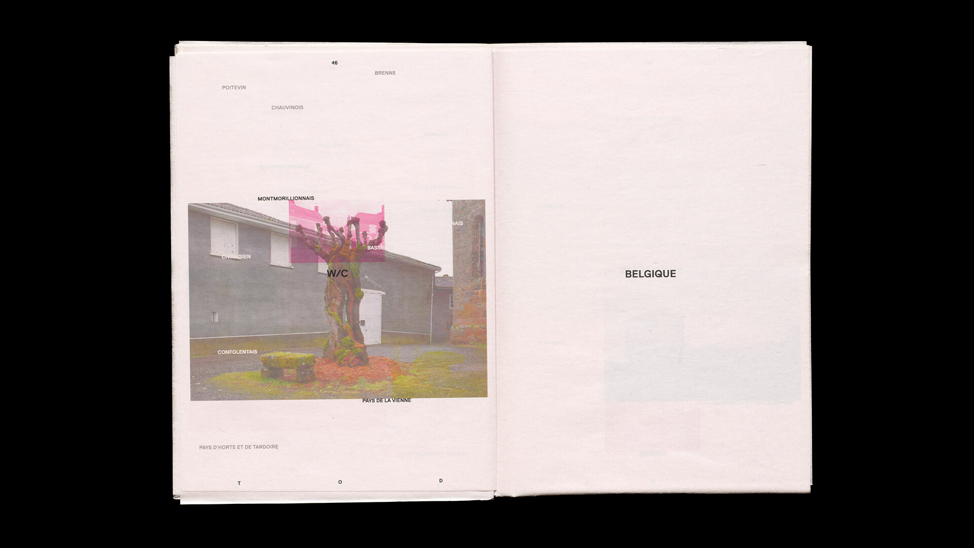 Leon Thommen, Uliana Stadiichuk, Abhash Mittal