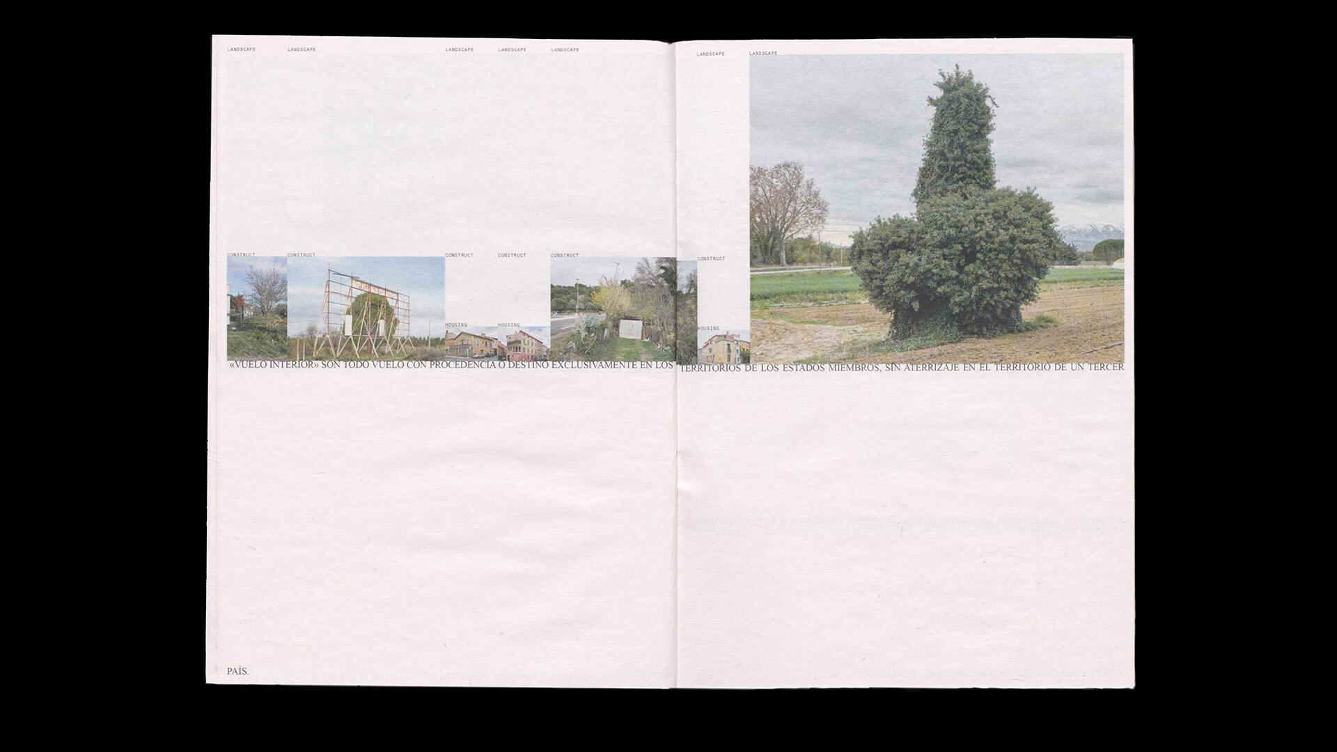 Joelle Kim, Artemisia Astolfi, Anastasiia Malsei, Chiara Vernier